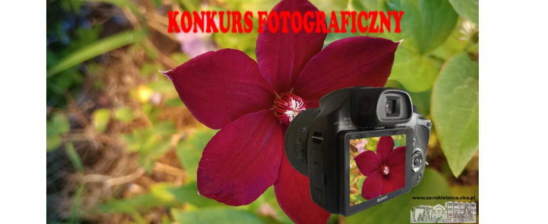 KONKURS  - chronione okazy flory i fauny  w Gminie Rokietnica