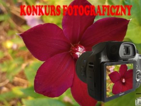 Fotografie  - flora i fauna Gminy Rokietnica - prace na konkurs. ZAKOŃCZENIE KONKURSU