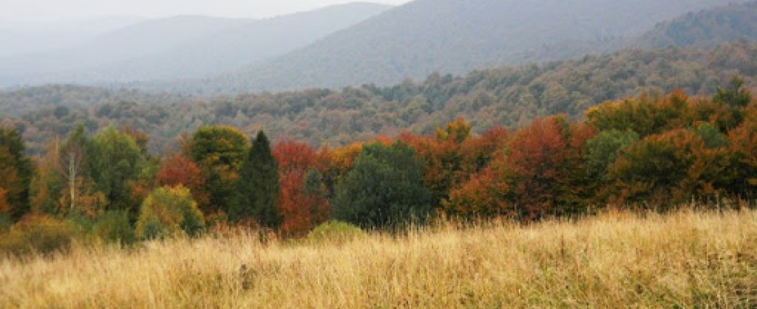 Krzemieniec