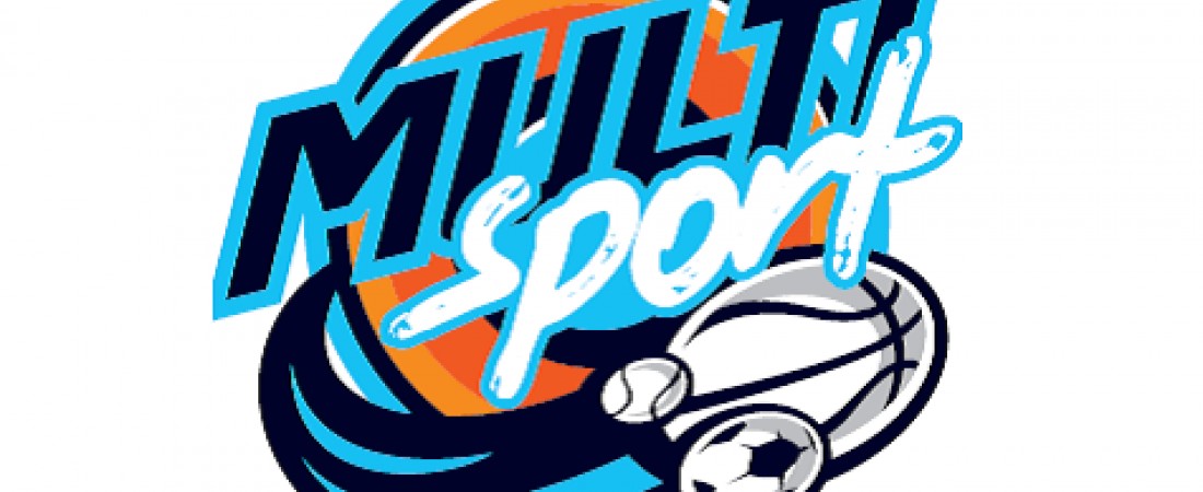Podsumowanie projektu MultiSport