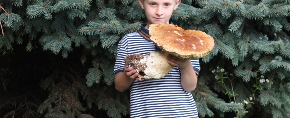 Ale grzyb